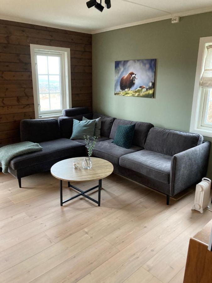 Oppdal Alpintun Apartman Kültér fotó